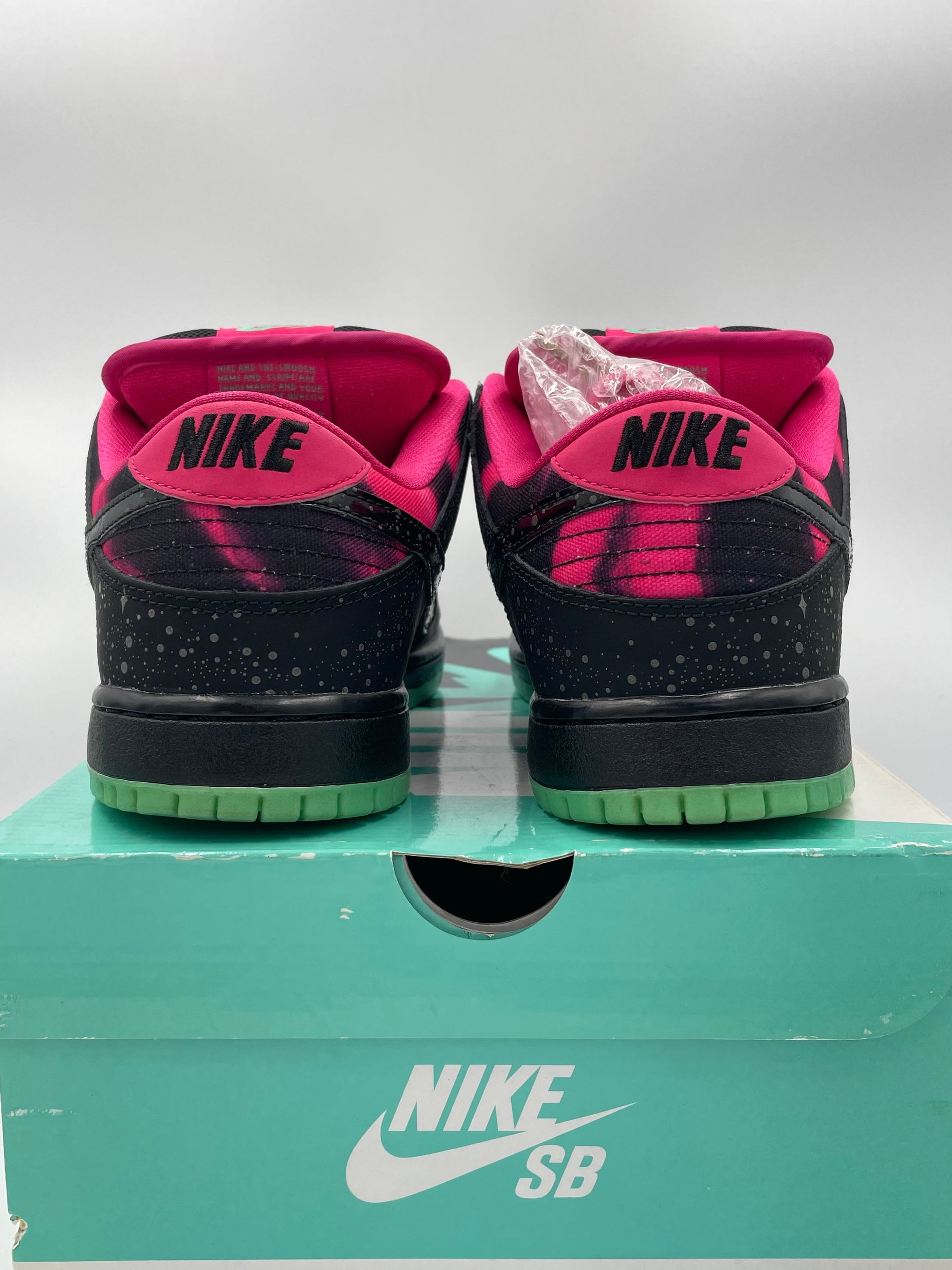 Nike Dunk SB ノーザンライツ NORTHERN LIGHT 11月22日発売予定】 プレミア × ナイキ SB ダンク ロー